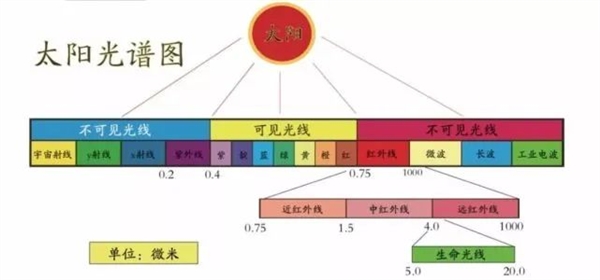 7亿中国人近视！到底是基因的突变？还是环境的变化？